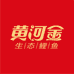 黄河金生态鲤鱼