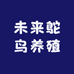 憧憬未来鸵鸟养殖基地