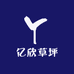 亿欣草坪