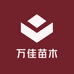 万佳苗木基地