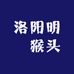 洛阳明玥猴头