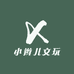 小辫儿文玩