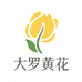 巴中大罗黄花