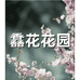 你们的小花园