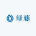绿藤专营店