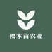 花农氏樱木果树苗木专卖店