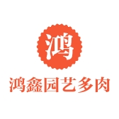 鸿鑫园艺多肉基地