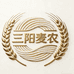 三阳麦农高端手工挂面