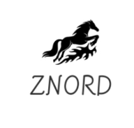 ZNORD企业店