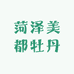 菏泽美都牡丹芍药