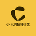 小太阳的园艺