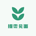 提枣见面