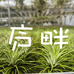 庐畔园艺