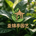 亚锦亭园艺