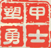 塑甲勇士汽车用品