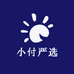 小付严选