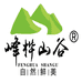 峰桦山谷农业