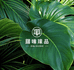 植屋生活