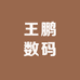 王鹏数码