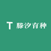 滕汐育种