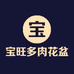 宝旺多肉花盆