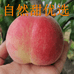 自然甜优选