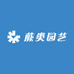 蕨类园艺