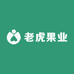 老虎果业
