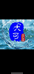 大可水产优品店