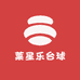 莱星乐台球杆包