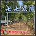 太行山养殖农场