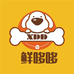 鲜哆哆 鲜肉狗粮