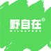 野自在宠物