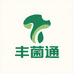 丰菌通云南野生菌