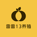 雷雷13养殖