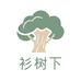 衫树下