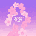 花萝潮流女装专营店