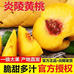 农果园一号仓