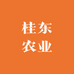 桂东农业