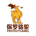 保罗骆驼儿童