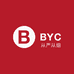 BYC外贸宠物用品店