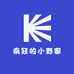疯狂的小野家