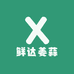 鲜达姜蒜