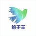鸽子王赛鸽用品