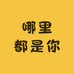 哪里都是你