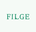 FILGE斐知相机时光剪影店
