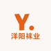 洋阳袜业