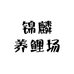 锦鳞锦鲤