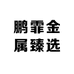 鹏霏金属臻选