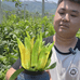 高要佛手盛丰基地